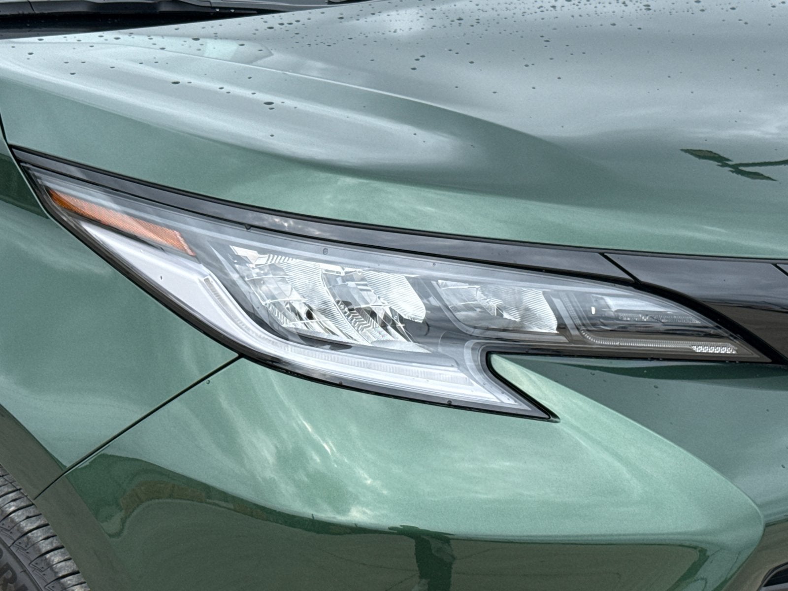 2026 Toyota Sienna Woodland Edition