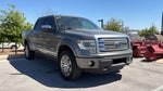 2013 Ford F-150 Platinum