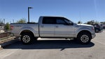 2010 Ford F-150 Platinum