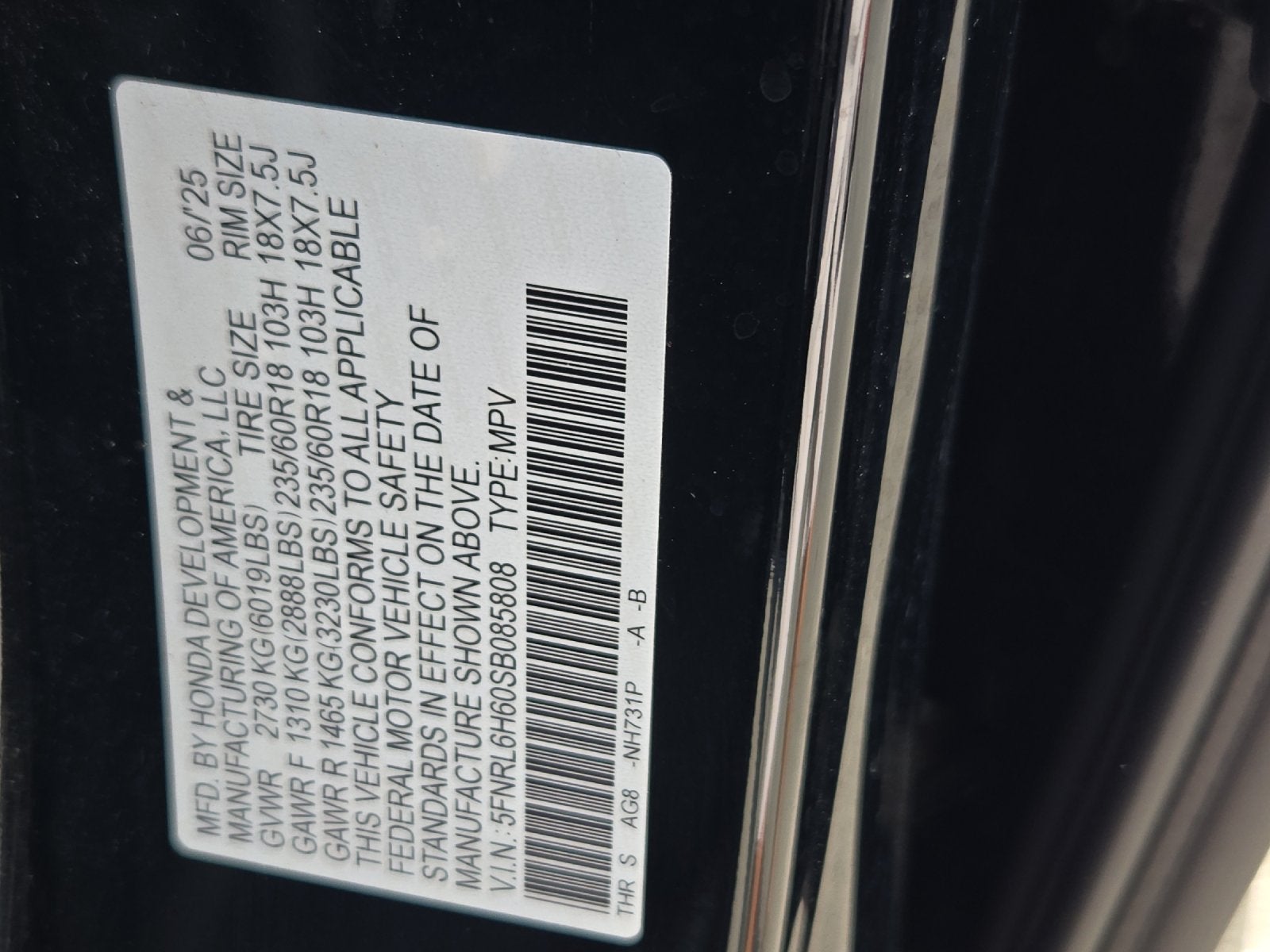 2025 Honda Odyssey EX-L