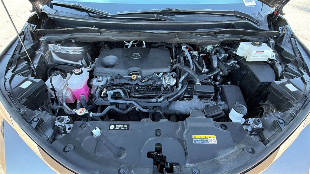 2024 Toyota Sienna XLE 7 Passenger