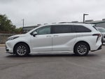 2025 Toyota Sienna XLE 8 Passenger