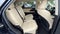 2022 Lexus RX 350L