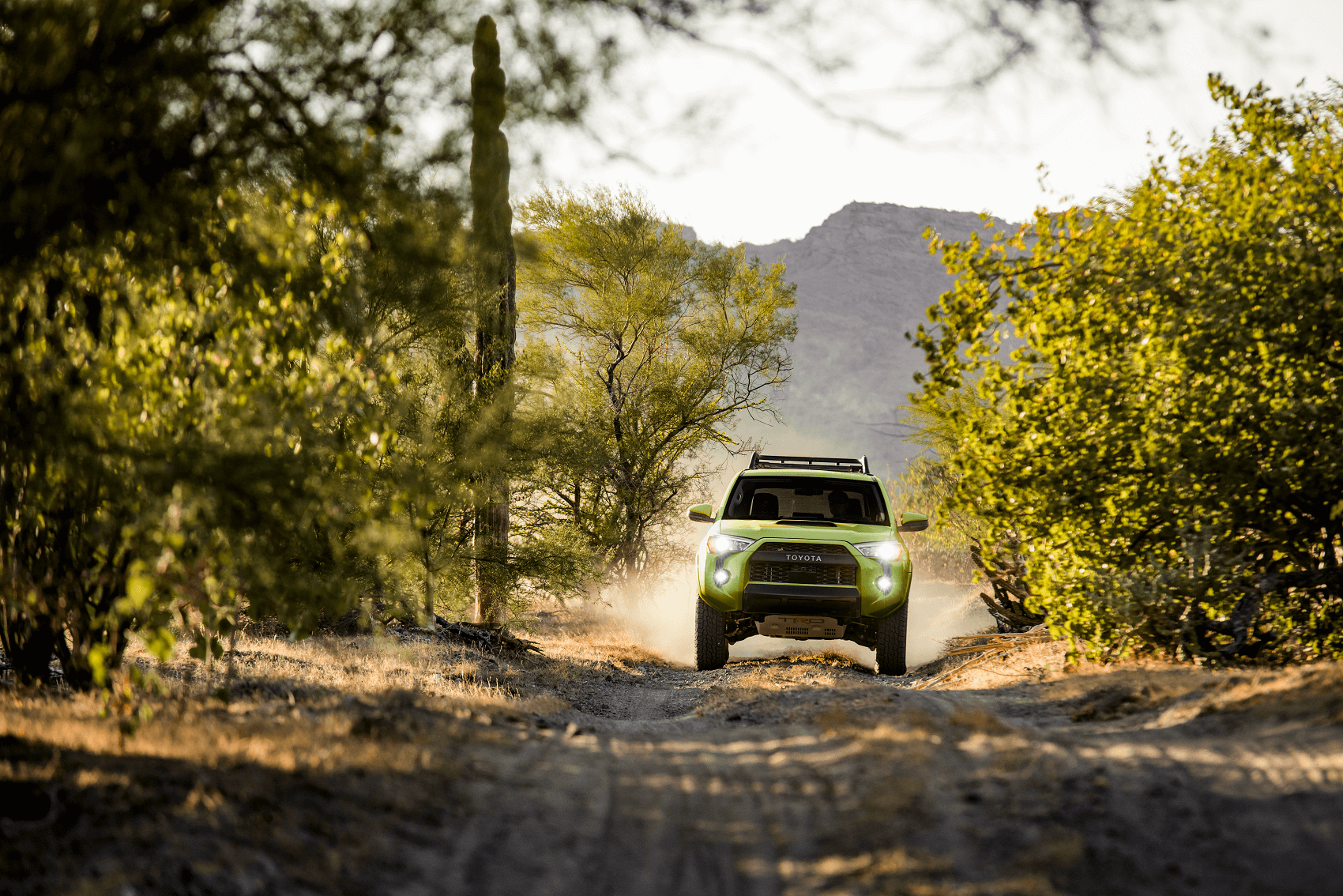 Toyota Dealer near Spring Branch TX