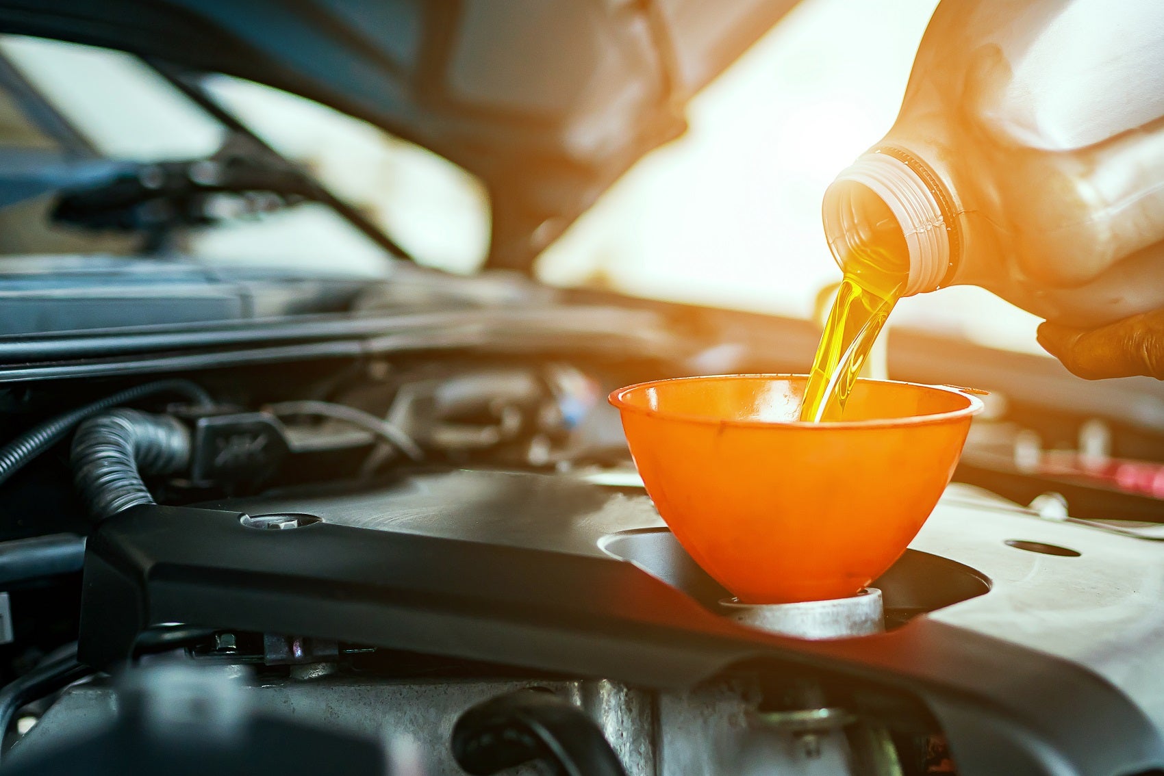 Oil & Filter Change Special